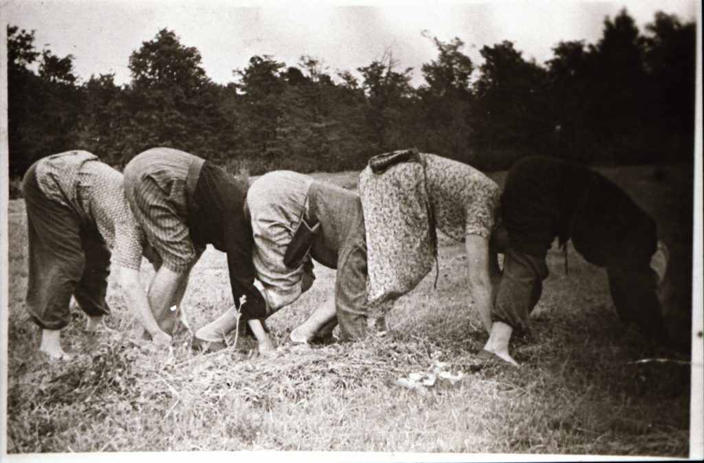 An old black and white image of a line of five people standing on their hands and legs position, like the downward facing dog position. The human bodies are linked as a chain together with the heads under the next persons buds. They are wearing clothes from the 70ies.